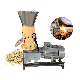  100-300kg/H Wood Pellet Making Machine Rice Husk Sawdust Granulator Biomass Fuel Pellets Mill Machine with CE