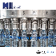 Automatic Pet Bottle Aqua Natural Drink Water Bottling Line Mineral Pure Complete Plant Soft Drinks Water 3 in 1 Filling Monoblock Bottling Packing Machine