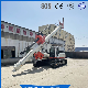  Engineering Auger Drilling Machine Dr-120m Cfa New Rotary Drilling Rig, Pile Driver