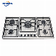 Stainless Steel Built in Panel 5 Burners Cooktop Gas Hob