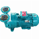 2BV-2bvc Liquid Ring Vacuum Pump with Compressor Motor Vacuum Filtration Pump in China