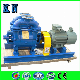  2be Water Ring Vacuum Pump for Chemical, Chemical Fertilizer, Paper and Pharmaceutical Industry From China