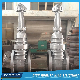  API 600 ANSI Steel /Stainless Steel Rising Stem Industrial Gate Valve for Oil Gas Warter