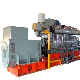 Continous Operation High Efficiency Biogas Natural Gas Power Generator Set for Sale