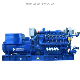 Liyu 1MW/1000kw Natural Gas 10.5kv/10500V Power Generator Sets for Hotel Community Hospital