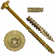 Carbon Steel Torx Wafer Head Construction Timber Stainless Steel Deck Screw