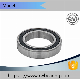 Stainless Steel Deep Groove Ball Rolling Auto Roller Bearings