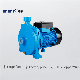 Shentai Large Flow House Submersible 0.5HP Cpm Pressure Centrifugal Water Pump