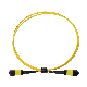  China 12/24/48/96/144 Core LC/Sc/St/FC MPO/MTP Connector FTTH Indoor Outdoor Armoured Drop LSZH PVC Fiber Optic Optical Patch Cord Pigtail Jumper Wire Cable