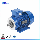 1HP, 2HP, 3HP, 4HP, 5.5HP, 7.5HP, 10HP, 15HP, 20HP, 25HP, 30HP, 40HP, 50HP, 60HP, 75HP, 100HP Three Phase Induction AC Asynchronous Electric Motor