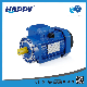 Factory Electrical China Water Pump Motor Price (MF)