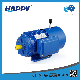 Wholesale 380 Volt 3 Phase China Electrical Motor (YEJ) manufacturer