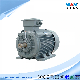  Ie3 Ie4 Ie5 CE CCC Approved Three Phase Induction AC Electric Motor Asynchronous Motors 0.12~800kw