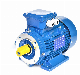 Ie3 Premium Efficiency Electric Motor