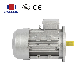 Three-Phase Motor CE380V Customized Motor Long Shaft