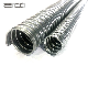  Steel Galvanized IEC 61386 Metal Hose Gi Flexible Cable Conduit with High Quality