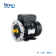 Ce Approved Single Phase Induction Motor