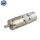 45mm 12V 24V 36V 48V High Torque Low Rpm Brush or Brushless DC Planetary Gear Motor with Encoder Option