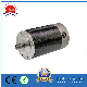  114zyt DC Motor Brushed Motor Brushless Electric Motor 12VDC 1.1n. M 322W Permanent Magnet Motor PMDC