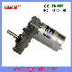 12V DC Brush Motor for Cars Robot Vending Machines