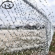 Woven Wire Mesh Diamond Fencing Price Garden PVC Coated Chain Link Fence