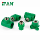 Ifan OEM Quality PPR Pipe Fitting All Types Green Plumbing Materials