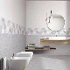  Bathroom Kitchen Glossy Polished Ceramic Floor Wall Tiles 300X600