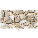 300X600mm Beige Color Exterior Wall Tile for Outdoor Villa