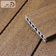  Hot Sale Wooden Flooring Wood Plastic Composite WPC Decking for Swimming Pool