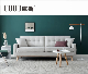 2020 Modern Sofa Foshan Design Fabric Home Leisure Sectional Sofa Furniture