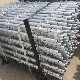 ANSI/AS/NZS Certified Hot DIP Galvanized Ringlock System Scaffolding