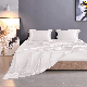 19 Momme Silk Sheet Set with Sham Pillowcases