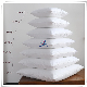  2022 Modern Wholesale Multiple Sizes Polyester Pillow /Cushion Form Insert