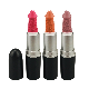  Bullet Black Mushroom Fun Lipstick OEM Moisturizing Matte Color Makeup