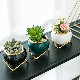  Hand-Painted Indoor Garden Cute Mini Flower Plant Cactus Succulent Pot with Metal Stand