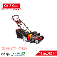139cc 18" Loncin Engine Petrol Garden Machine Lawnmower Gasoline Lawn Mower (GLM46Z-LC139)
