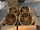  Alloy Wheels Forged 18 19 20 21 22 23 24inch Gold Chrome Duo Color Wholesale Alloy Car Rims 5 Hole 5 Spoke Car Aluminum Alloy Wheels Rim