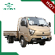  WAW 4*2 2 Ton Gasoline Mini Cargo Light Truck with Euro 4 Engine