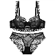  Ultra-Thin Breathable Two Pieces Adult Underwear Embroidery Lace Women Sexy Lingerie Set