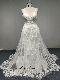  9003 Deep V Neckline Tulle Lace Wedding Dress with 70 Inch Train Mermaid Skirt Ivory