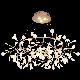 Modern Firefly Creative Personality Simple Ceiling Lights Crystal LED Chandelier Lights.