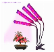 Flexible Spectrum Lamp Plant LED Indoor Grow Light for Greenhouses Flowers