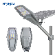  Hyundai IP65 100W Solar Street Light