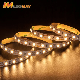 Brand OEM DC24V Red/Blue/Green Color 60LED/m 5050 LED Kit Strip Light