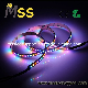  Ws2812b Sk6812 Addressable RGB 5050 Pixel LED Flexible LED Strip Light