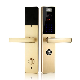 Biometric Fingerprint Smart Door Lock with Password (UL-680)