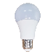 China LED Bulbs Light 5W 7W 9W 12W 15W 18W