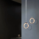  Modern Lighting, Bedroom, Kitchen Chandelier, Ring LED Lights, Round Lights, Living Room