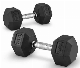  Ttcz Fitness Hex Rubber Dumbbells Popular for Gym