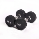 Black Round Head Rubber Coated Dumbbell in 2.5-50kg